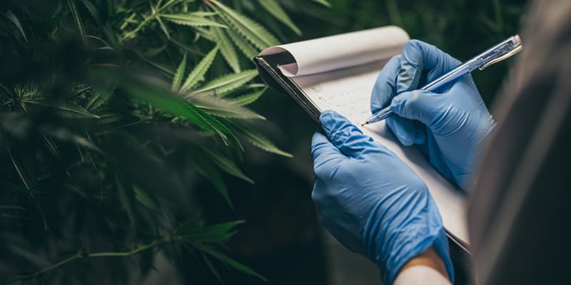 대륜 마약밀반입 감형요소 법률 정보