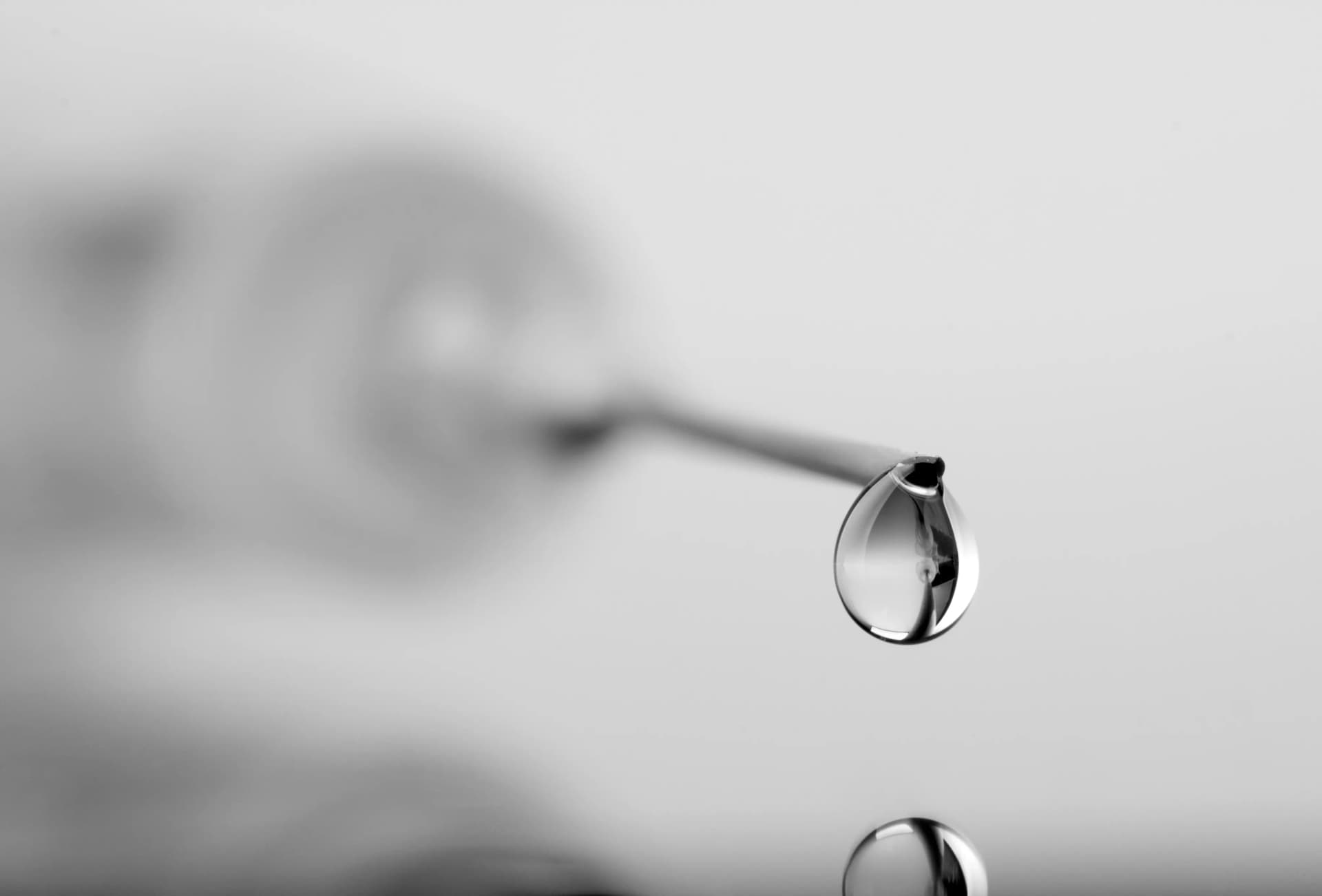 대륜 마약처벌 기준 법률 정보