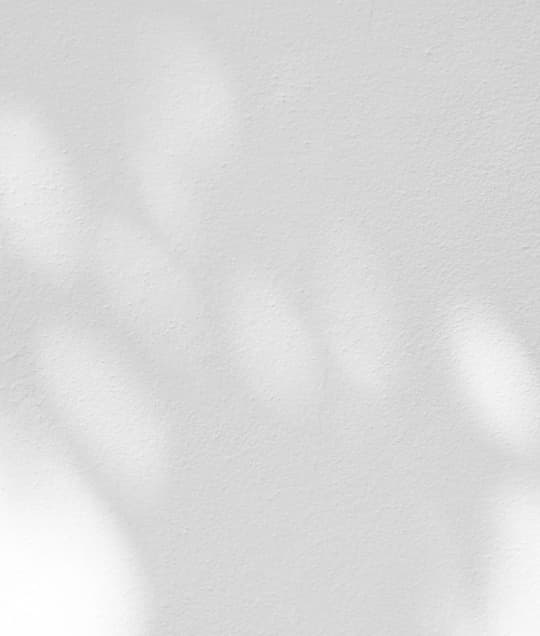 대륜마약전문변호사